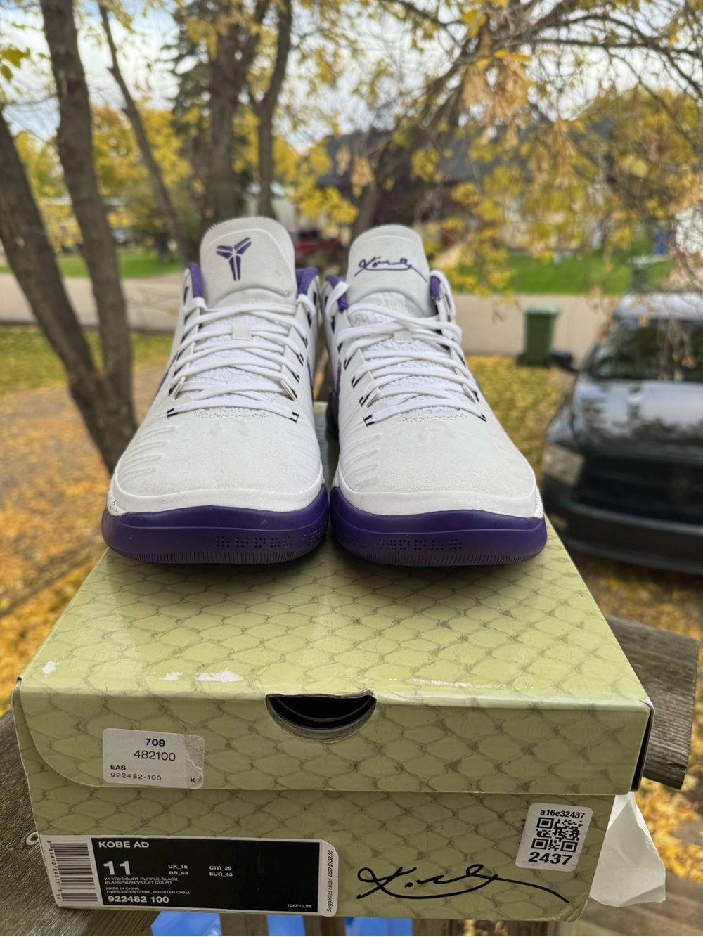 Nike Kobe AD Low Men's Basketball Shoes - White & Purple